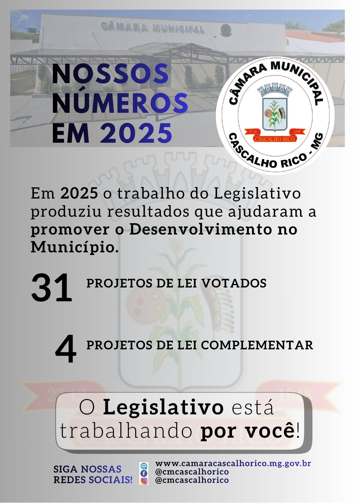NÚMEROS DO LEGISLATIVO EM 2025