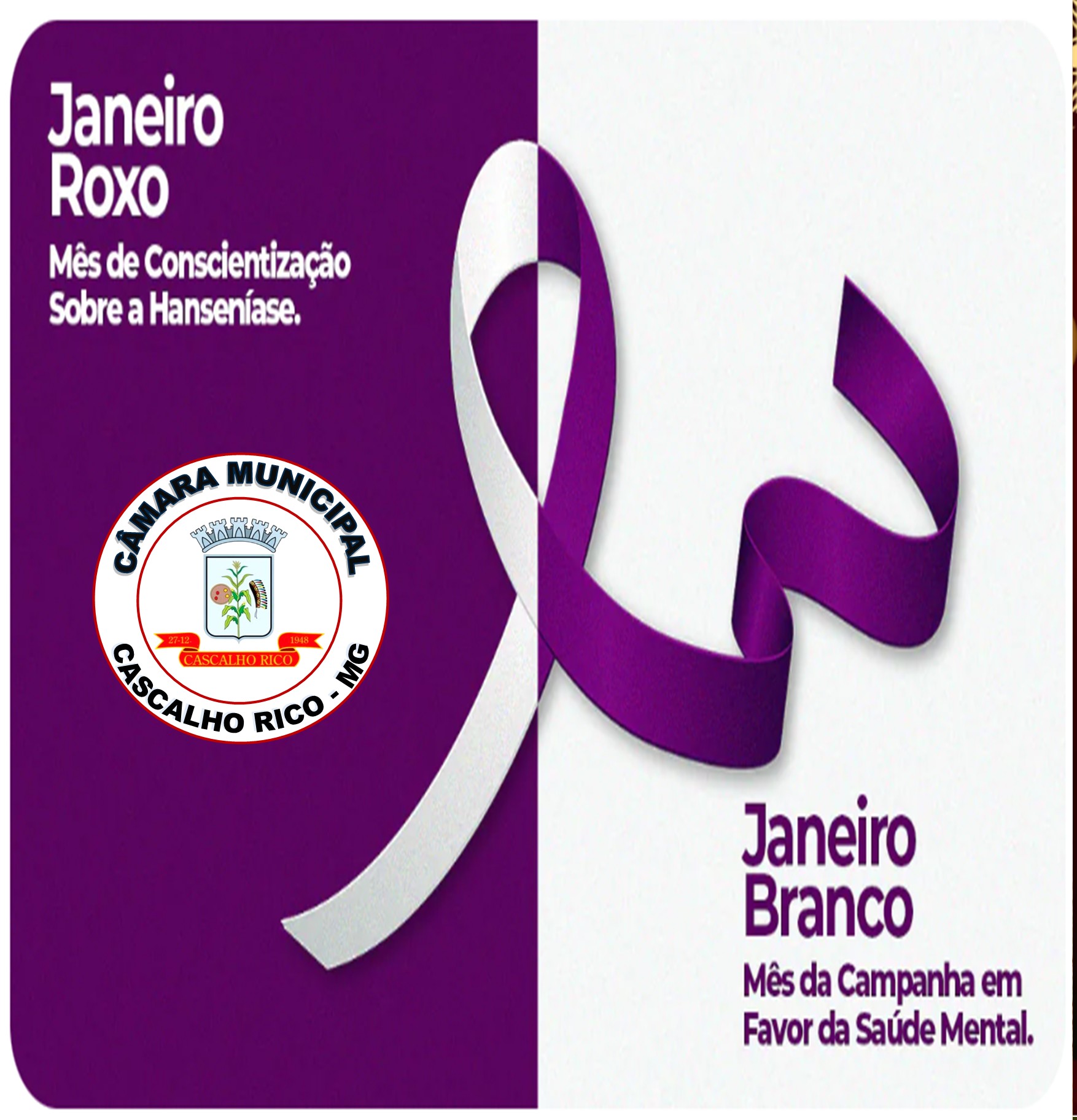 JANEIRO BRANCO
